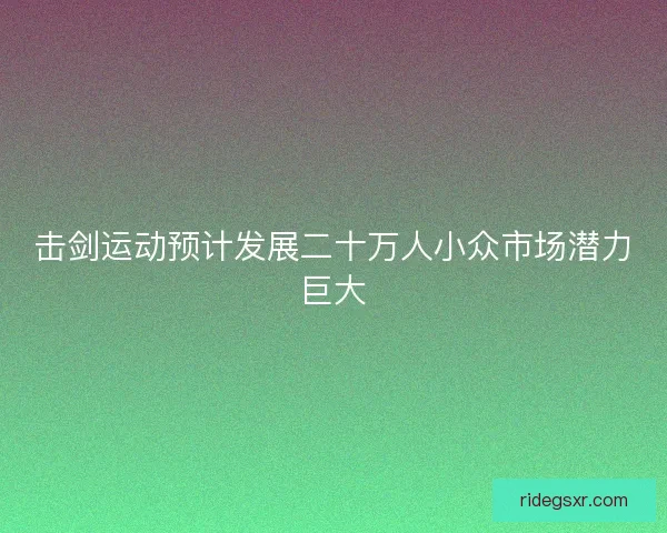 击剑运动预计发展二十万人小众市场潜力巨大
