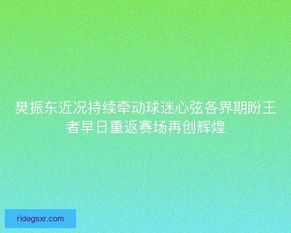 樊振东近况持续牵动球迷心弦各界期盼王者早日重返赛场再创辉煌 樊振东近况持续牵动球迷心弦各界期盼王者早日重返赛场再创辉煌